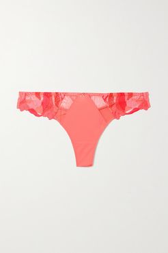 Montaigne Lace And Embroidered Tulle-trimmed Stretch-jersey Thong - Coral
