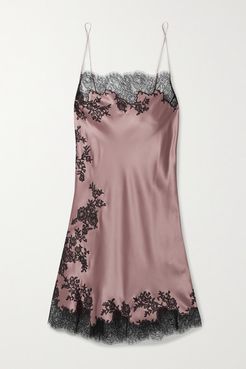 Chantilly Lace-trimmed Silk-satin Chemise - Antique rose