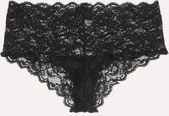 Never Say Never Hottie Stretch-lace Briefs - Black