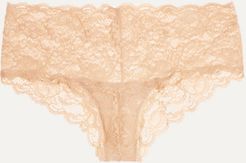 Never Say Never Hottie Stretch-lace Briefs - Neutral