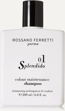 Splendido Color Maintenance Shampoo, 200ml