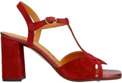 Zizi Sandals In Bordeaux Suede