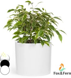 Fox&fern - Fioriera, vaso per piante, fiberstone, interni/esterni