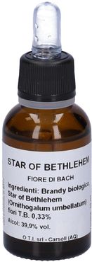 Of Bethlehem Bach Gtt30Ml