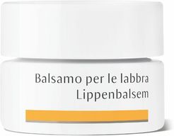 Dr. Hauschka Balsamo per le Labbra