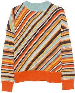 Long Sleeve Crew Neck Sweater in Multicolor
