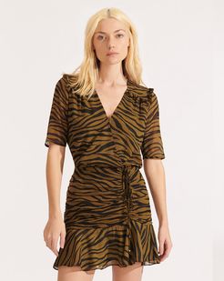 Dakota Zebra Dress