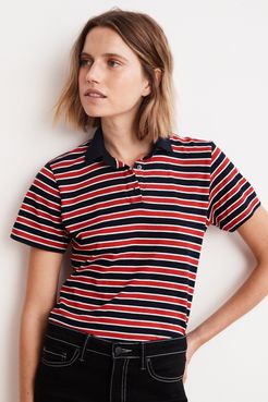 Adella Knit Stripe Polo Shirt (XL), Velvet by Graham & Spencer