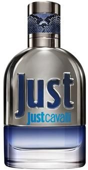 Just Cavalli For Him Just Cavalli Man Eau de Toilette Spray Eau de toilette 30 ml male