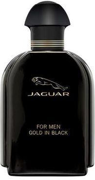 Gold in Black Eau de Toilette Spray Eau de toilette 100 ml unisex