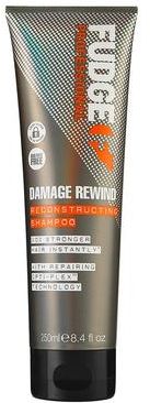 Damage Rewind Reconstructing Shampoo 250 ml unisex