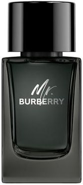 Mr. Burberry Eau de Parfum 100 ml unisex