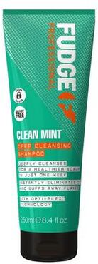 Clean Mint Deep Cleansing Shampoo 250 ml unisex