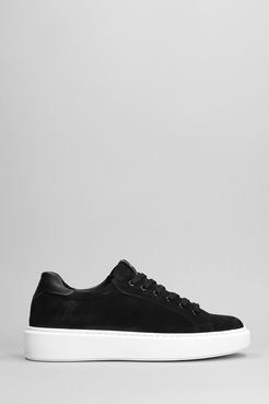 Sneakers  in Camoscio Nero