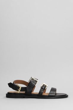 Sandali flats Etoile Buckles in Pelle Nera