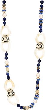 Mixed Gemstone Beads & Horn Link Long Necklace - Blue Multi