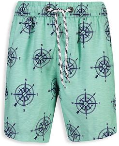 Little Boy's & Boy's Compass Board Shorts - Green - Size 2