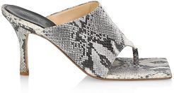 Katie Square-Toe Snakeskin-Embossed Leather Thong Sandals - Grey Snake - Size 6