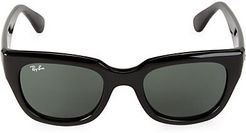 RB4178 Cat Eye Sunglasses