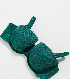 Curve Sexy Lace balconette bra in green / navy