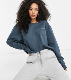 4505 Tall sweatshirt with wellness graphic on organic cotton-Grey