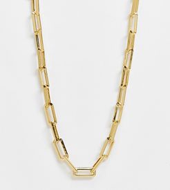 ASOS DESIGN Curve 14k gold plated necklace in square link chain