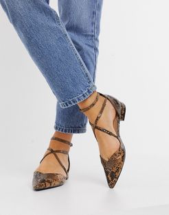 Leanna pointed ballet flats in brown snake-Multi