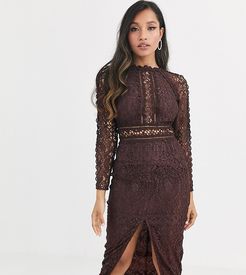 ASOS DESIGN Petite long sleeve pencil dress in lace with geo lace trims-Brown