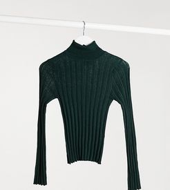 ASOS DESIGN Petite ribbed roll neck sweater in dark green