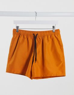 swim shorts in orange short length