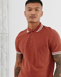 tipped pique polo shirt in tan-Brown