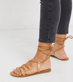 Wide Fit Violet leather tie leg gladiator sandals in tan