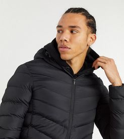 Tall hooded puffer jacket in black