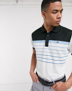 Flint polo shirt in white with blue stripes