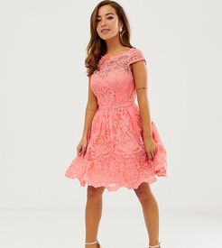 premium lace mini dress with scalloped neck in coral-Pink