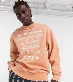 sweatshirt with print in washed orange