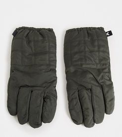 Unisex padded gloves-Green