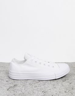 Chuck Taylor All Star Ox sneakers in white mono