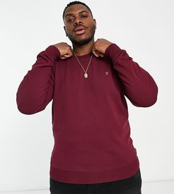 crew neck sweatshirt in raspberry-Red