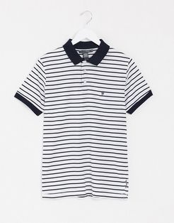 stripe polo-Navy