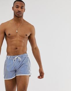 Dend stripe swim shorts in blue