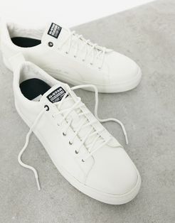 zlov sneakers-White