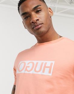 Dicagolino box logo t-shirt in peach-Orange