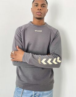 Isam sweatshirt in magnet-Grey