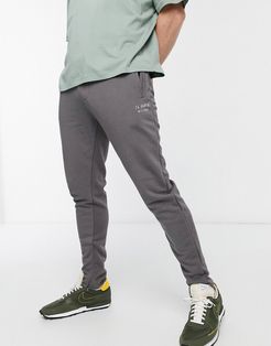 logo sweatpants in gray-Grey