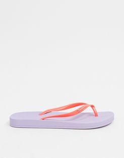 anatomica flip flops in coral violet-Purple