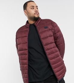 Essentials plus size padded jacket in red