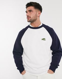 wave text logo raglan sweat in white and navy