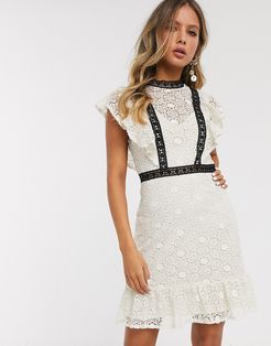 lace mini dress with contrast detail in cream-Multi