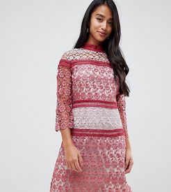 contrast lace mini shift dress in berry-Red